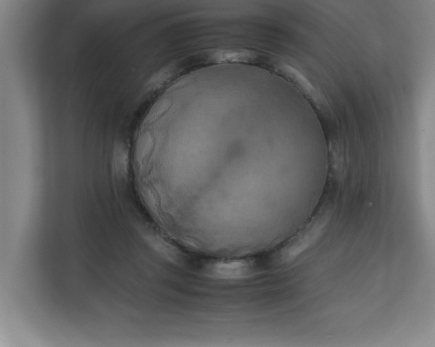 X0000111150357200907071113