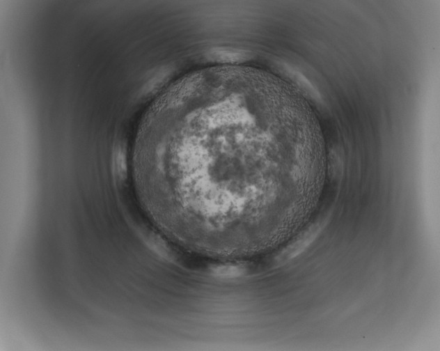 X0000111150358200907071113