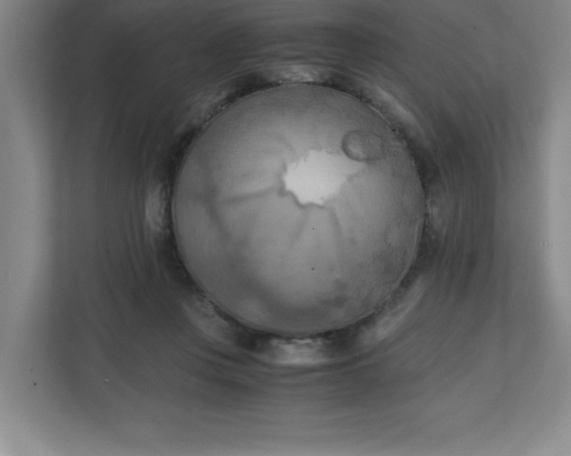X0000111150359200907071113