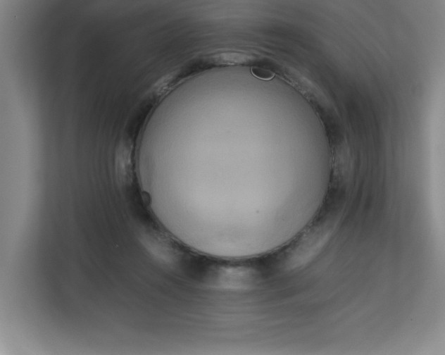 X0000111150360200907071113
