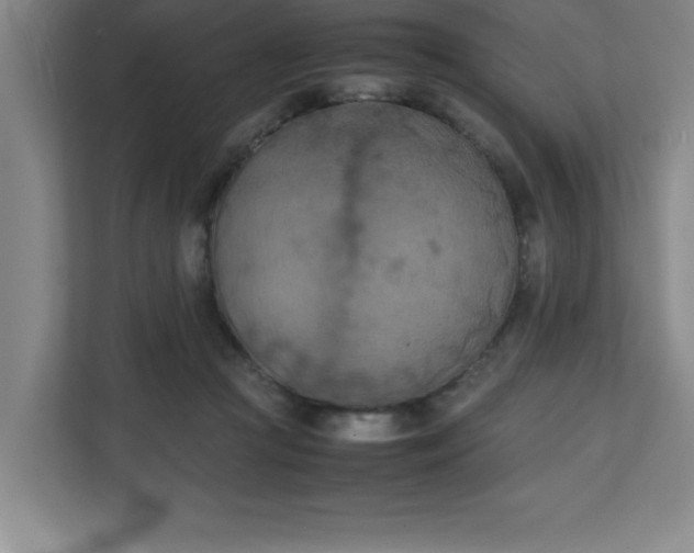 X0000111150361200907071113
