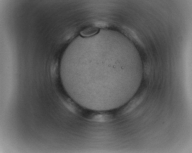 X0000111150364200907071113