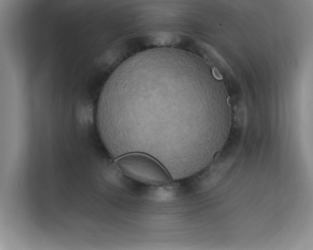 X0000111150368200907071114