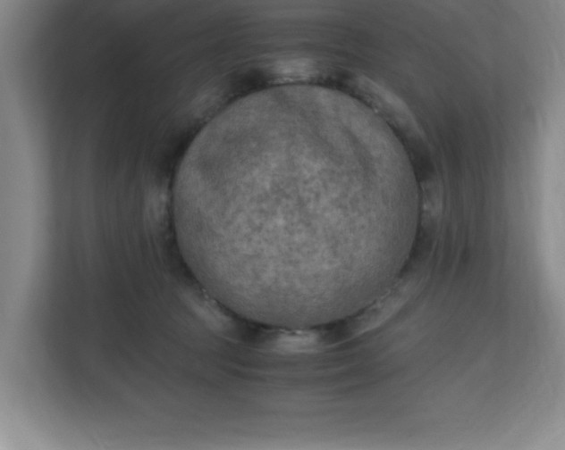X0000111150369200907071114