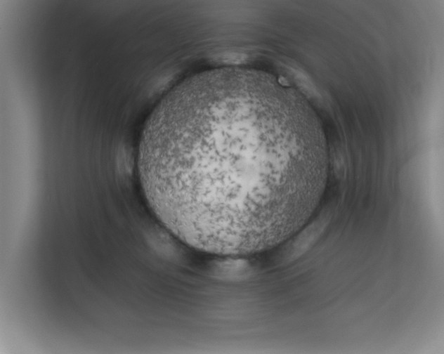 X0000111150374200907071114