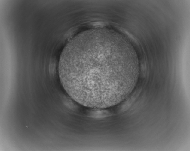X0000111150379200907071114