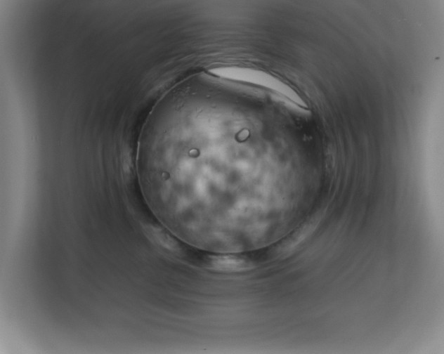 X0000111150380200907071114