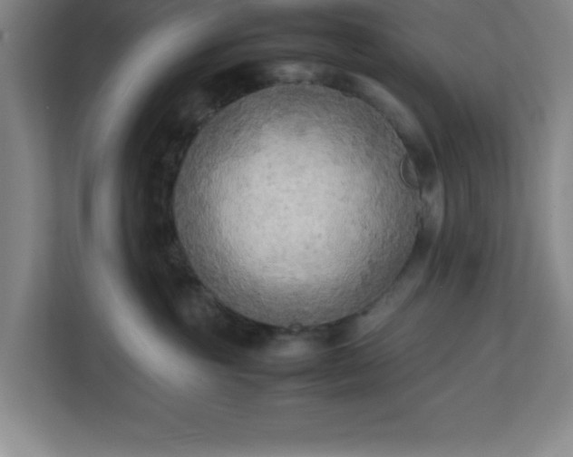 X0000111150381200907071114