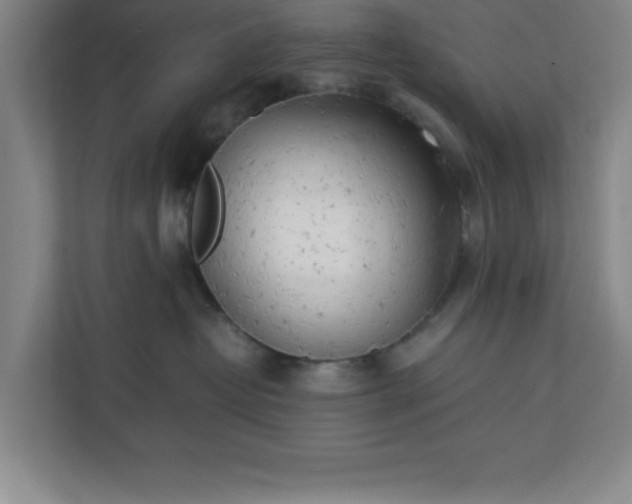 X0000111150382200907071114