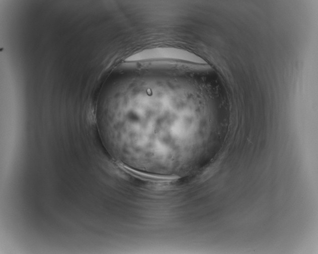 X0000111150384200907071114