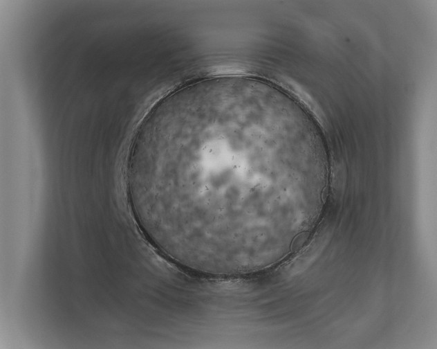 X0000111150385200907071113