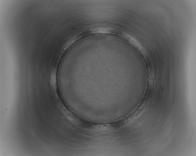 X0000111150386200907071113