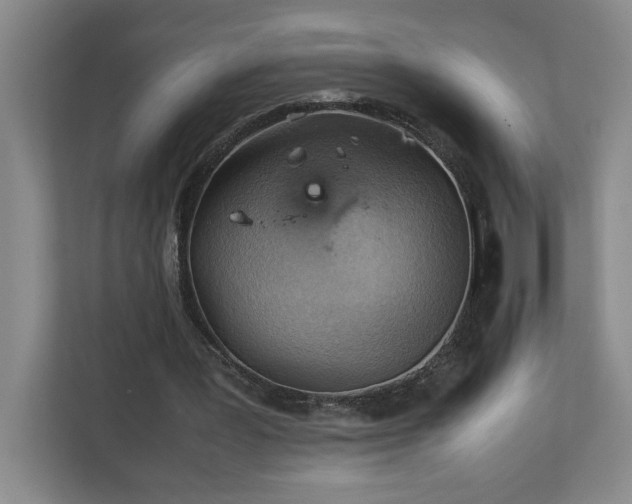 X0000111150387200907071113