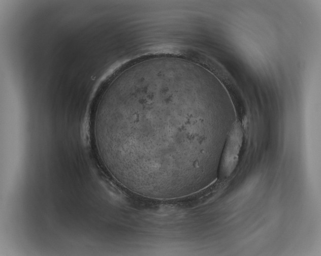 X0000111150388200907071113