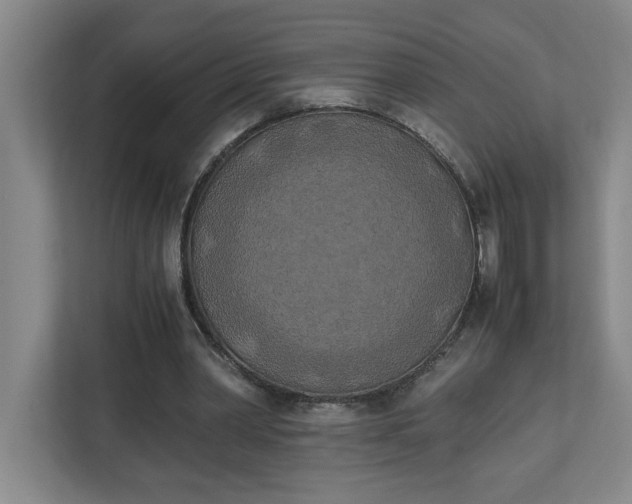 X0000111150390200907071113