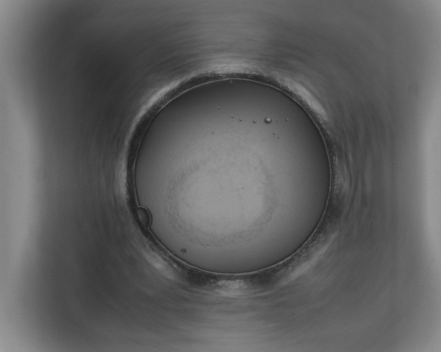 X0000111150391200907071113