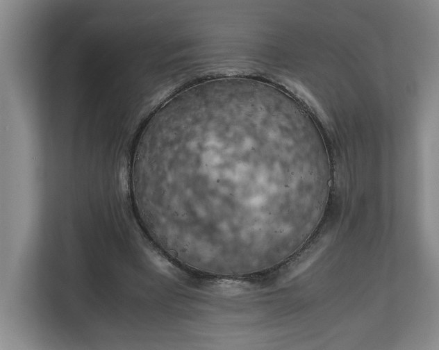 X0000111150393200907071113