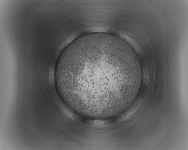 X0000111150394200907071113