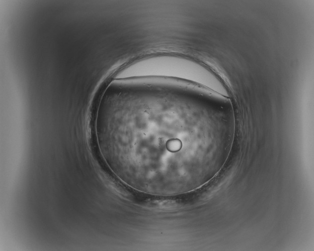 X0000111150395200907071113