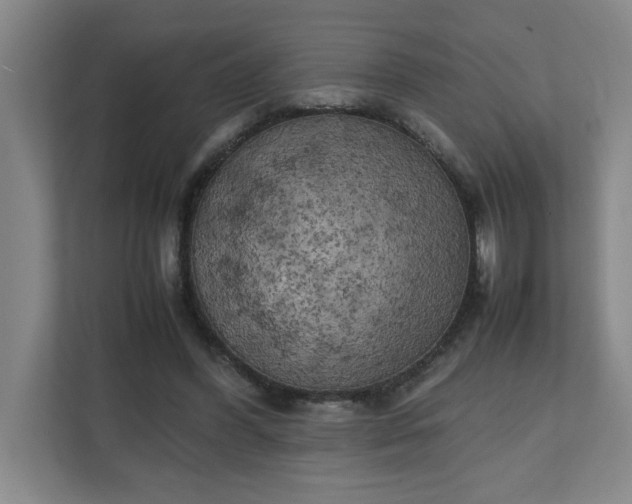X0000111150396200907071113