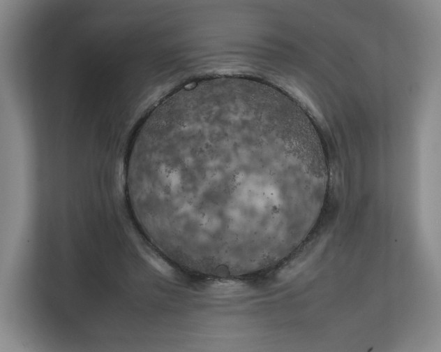 X0000111150397200907071113