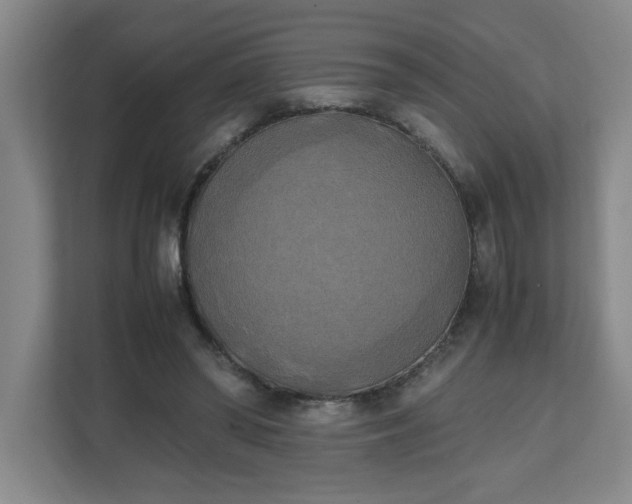 X0000111150398200907071113