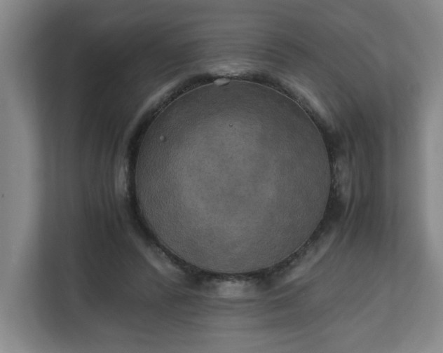 X0000111150400200907071113