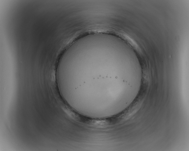 X0000111150401200907071113