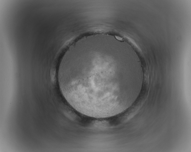 X0000111150403200907071113