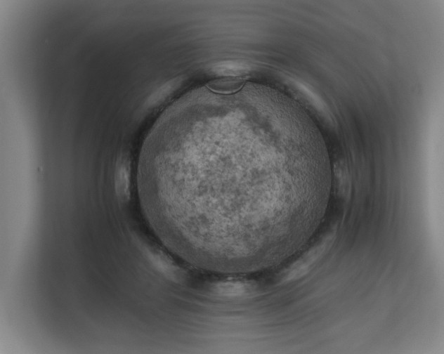 X0000111150404200907071113
