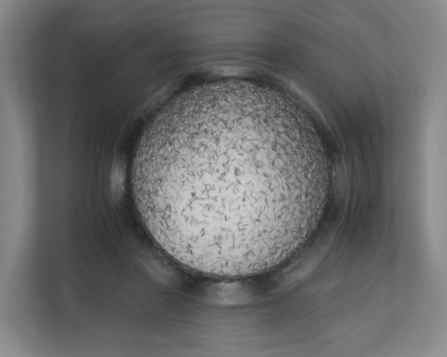 X0000111150406200907071113