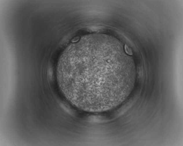 X0000111150408200907071113