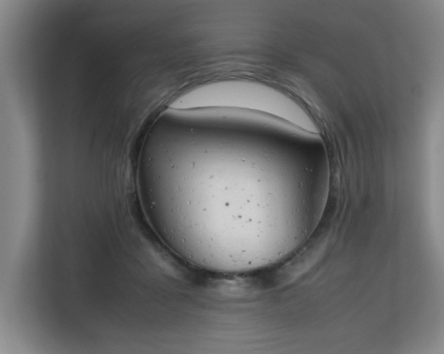 X0000111150411200907071113