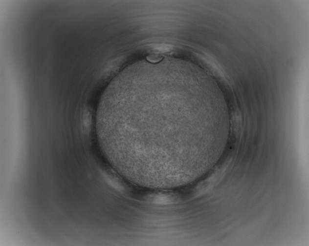 X0000111150412200907071113
