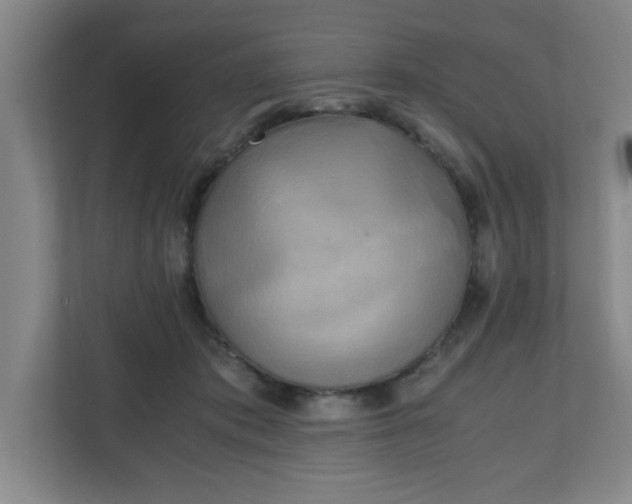 X0000111150413200907071113