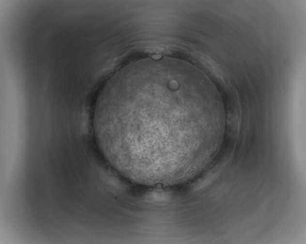 X0000111150416200907071113