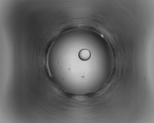 X0000111150417200907071113