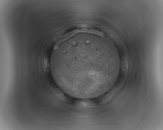 X0000111150420200907071113