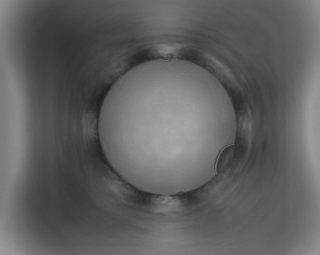 X0000111150421200907071113