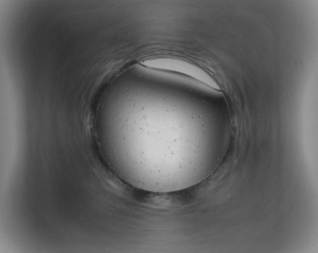 X0000111150423200907071113