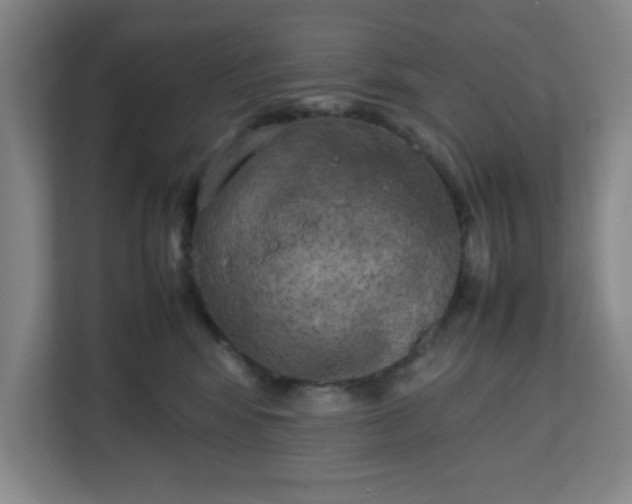 X0000111150424200907071113