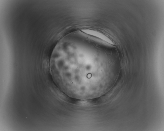 X0000111150425200907071113