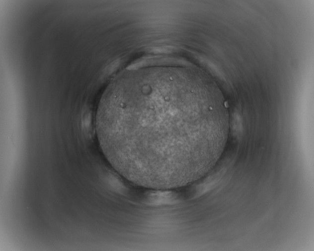 X0000111150428200907071113