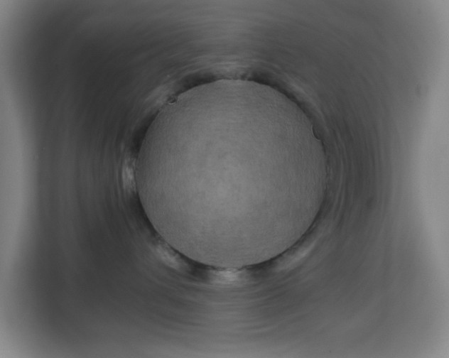 X0000111150432200907071112