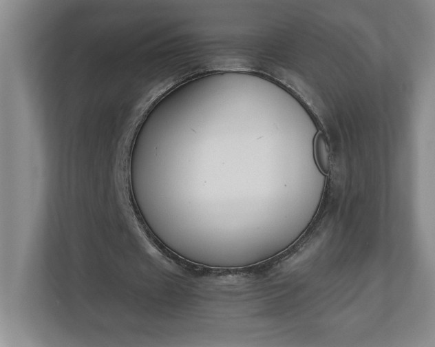 X0000111150433200907071112