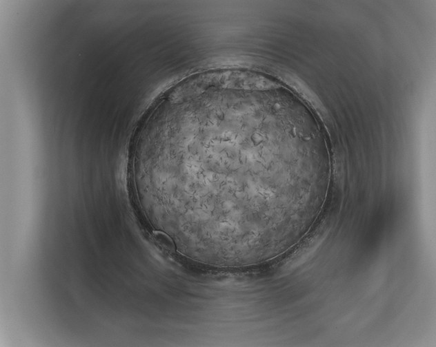 X0000111150434200907071112