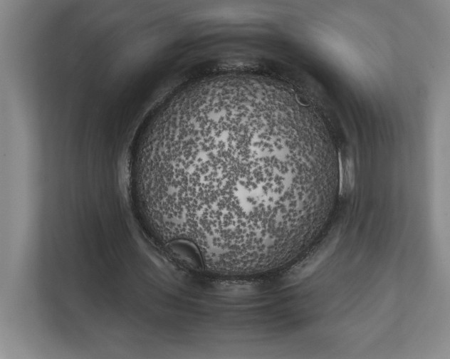 X0000111150435200907071112
