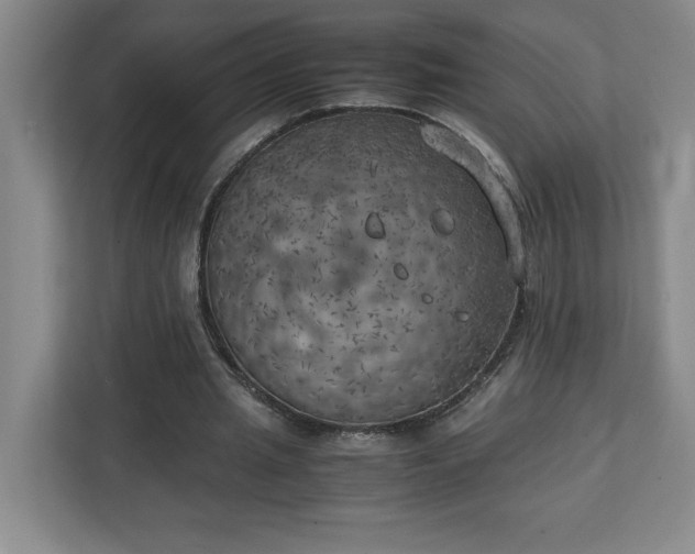 X0000111150437200907071112