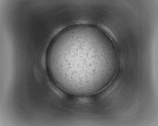X0000111150439200907071112
