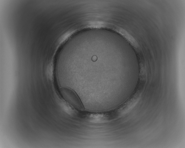 X0000111150440200907071112